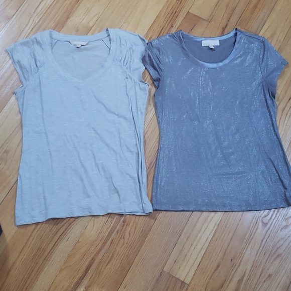 (2) Banana Republic Size Small Shimmery Tops - Picture 1 of 3